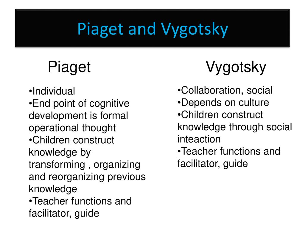 The Brain and Cognitive Development ppt download